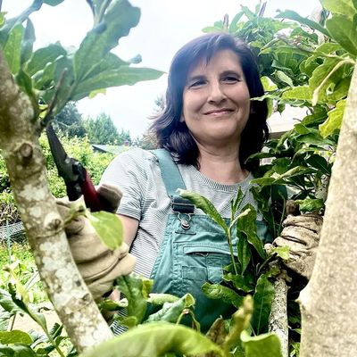 Avatar for Lisa's Pruning and Horticulture