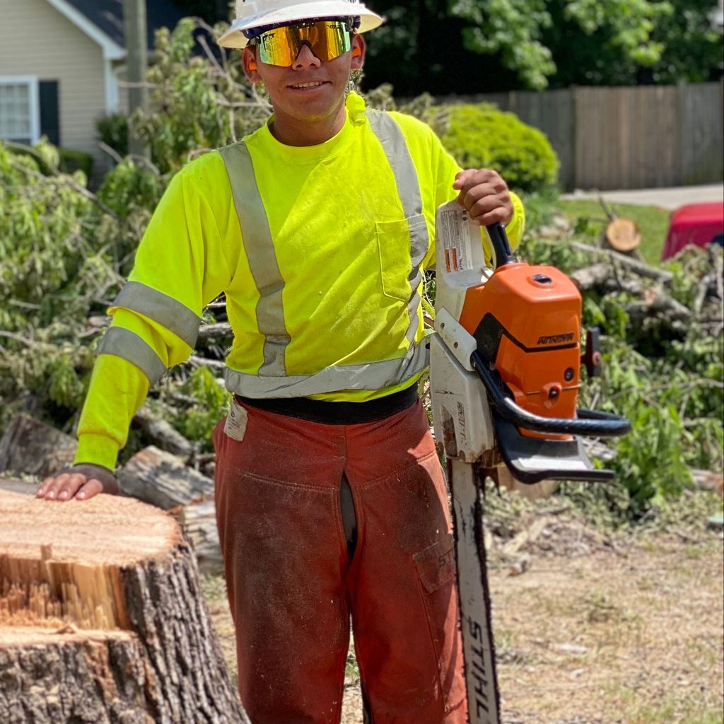 Bison Tree Service