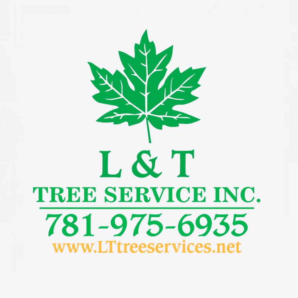 L&T TREE SERVICES INC
