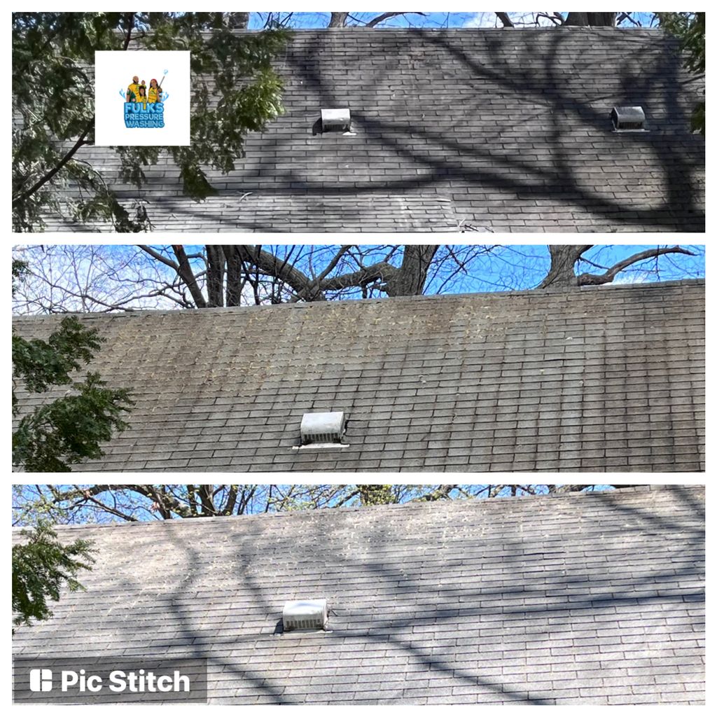 Roof Cleaning