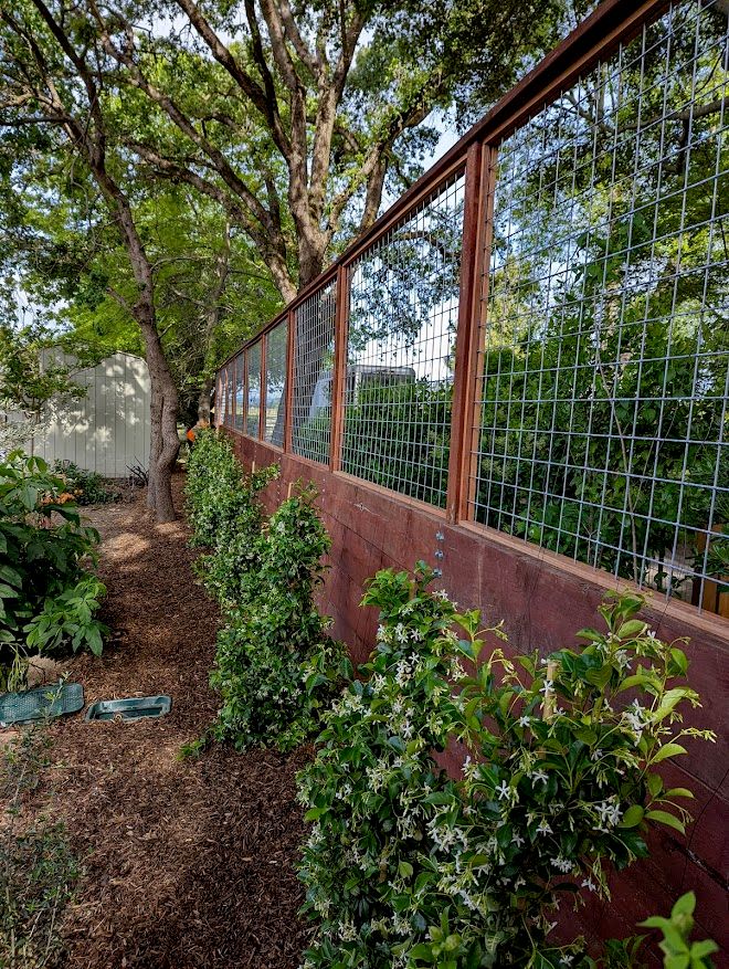 Fence construction & Jasmine installation