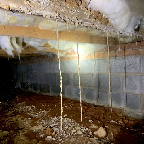 Termite tubes in a crawlspace!  Get your free insp