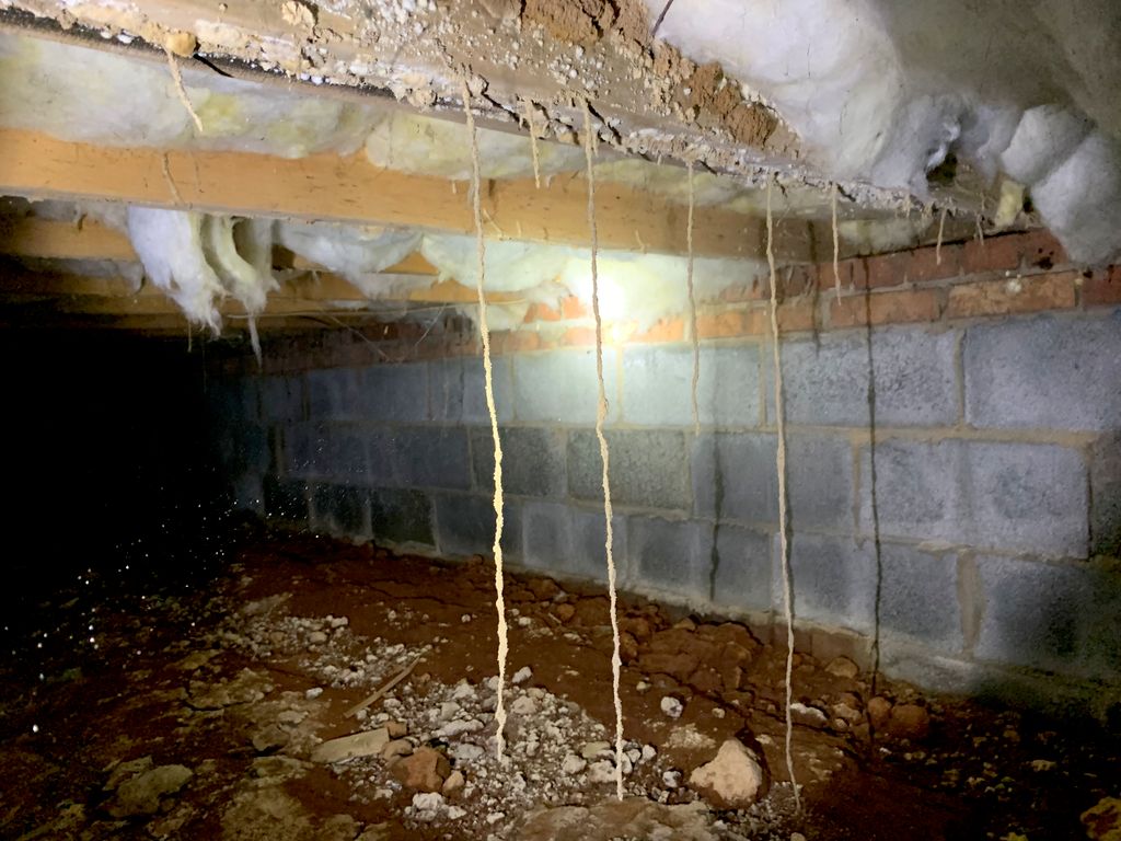 Termite tubes in a crawlspace!  Get your free insp