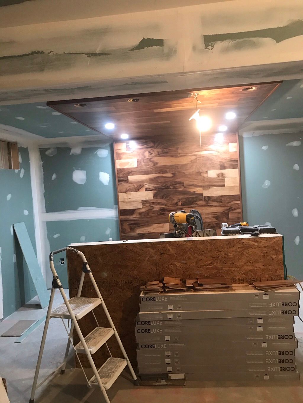 Projects and media