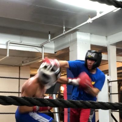 Avatar for Landicho Boxing