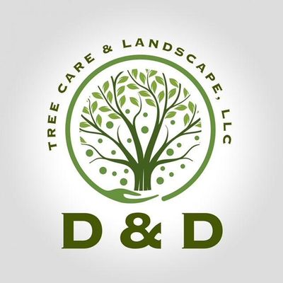 Avatar for D&D Tree Care and Landscape