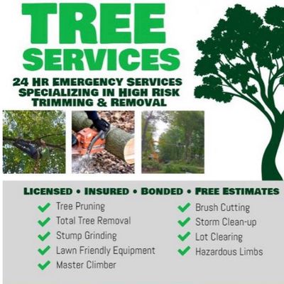 Avatar for C&O Tree Service