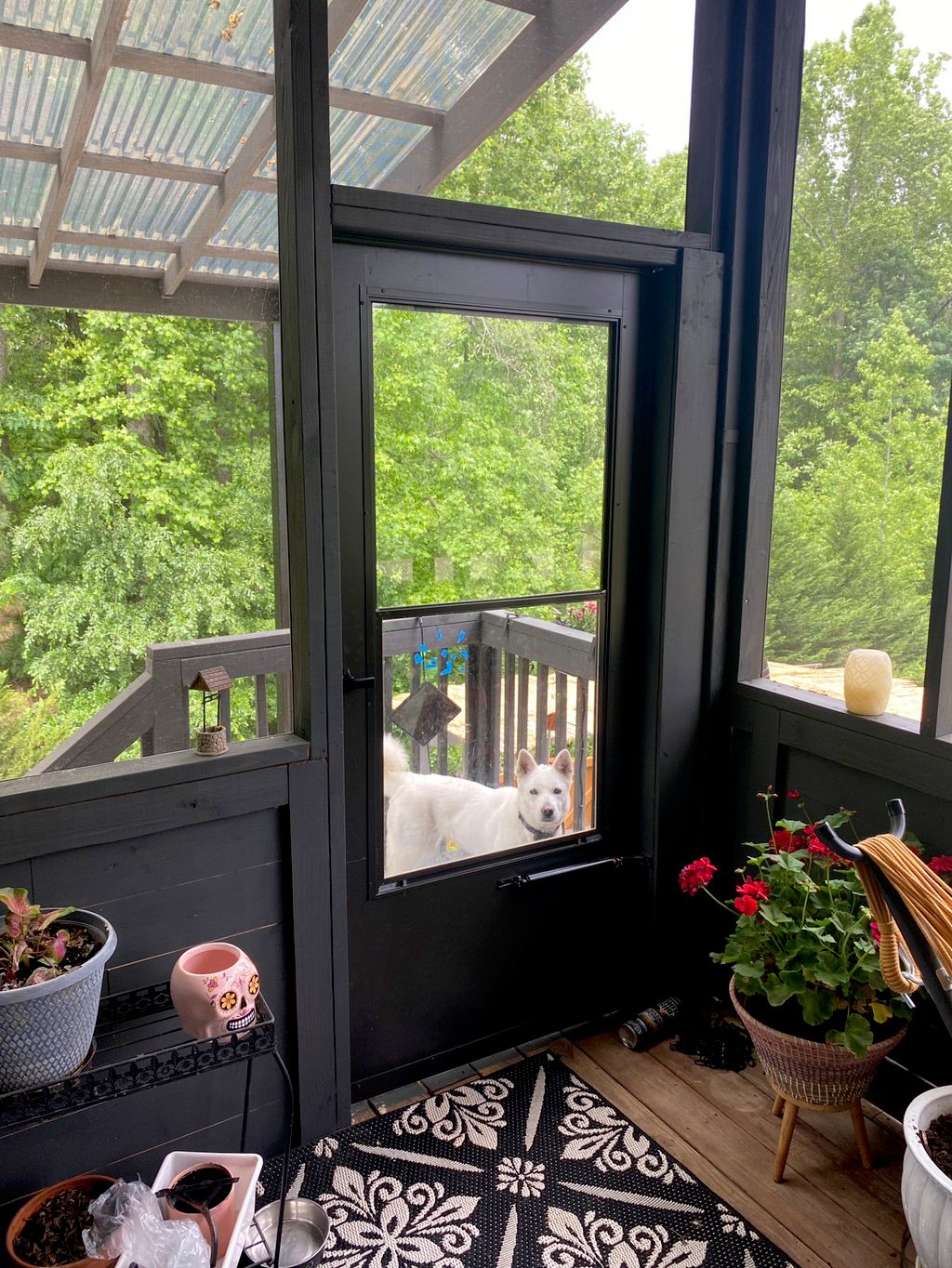 Customer photos