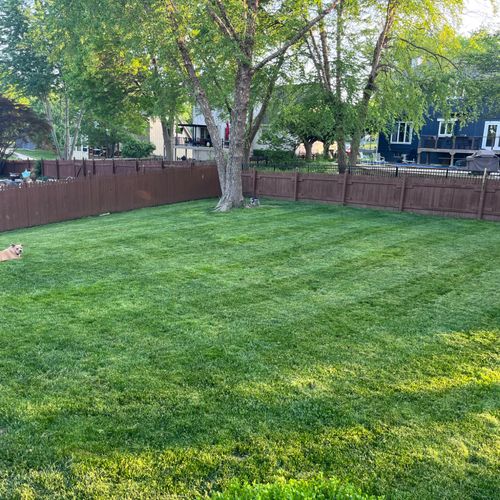 My first mow was…not good. But the next company th