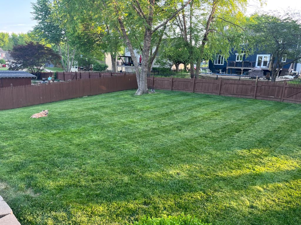 My first mow was…not good. But the next company th