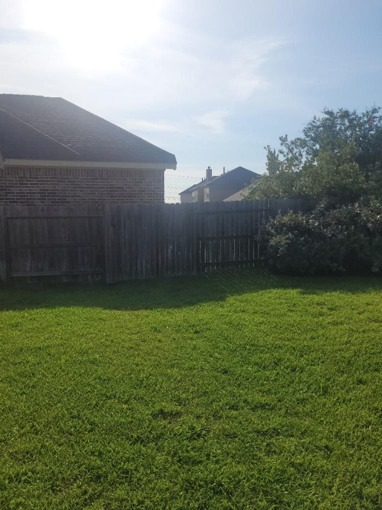 Customer photos