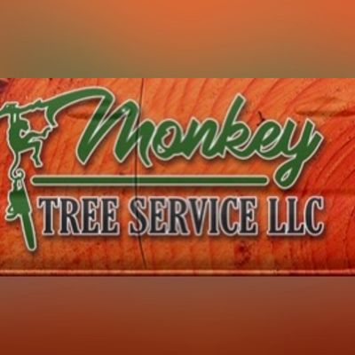 Avatar for Monkey Tree Service, LLC