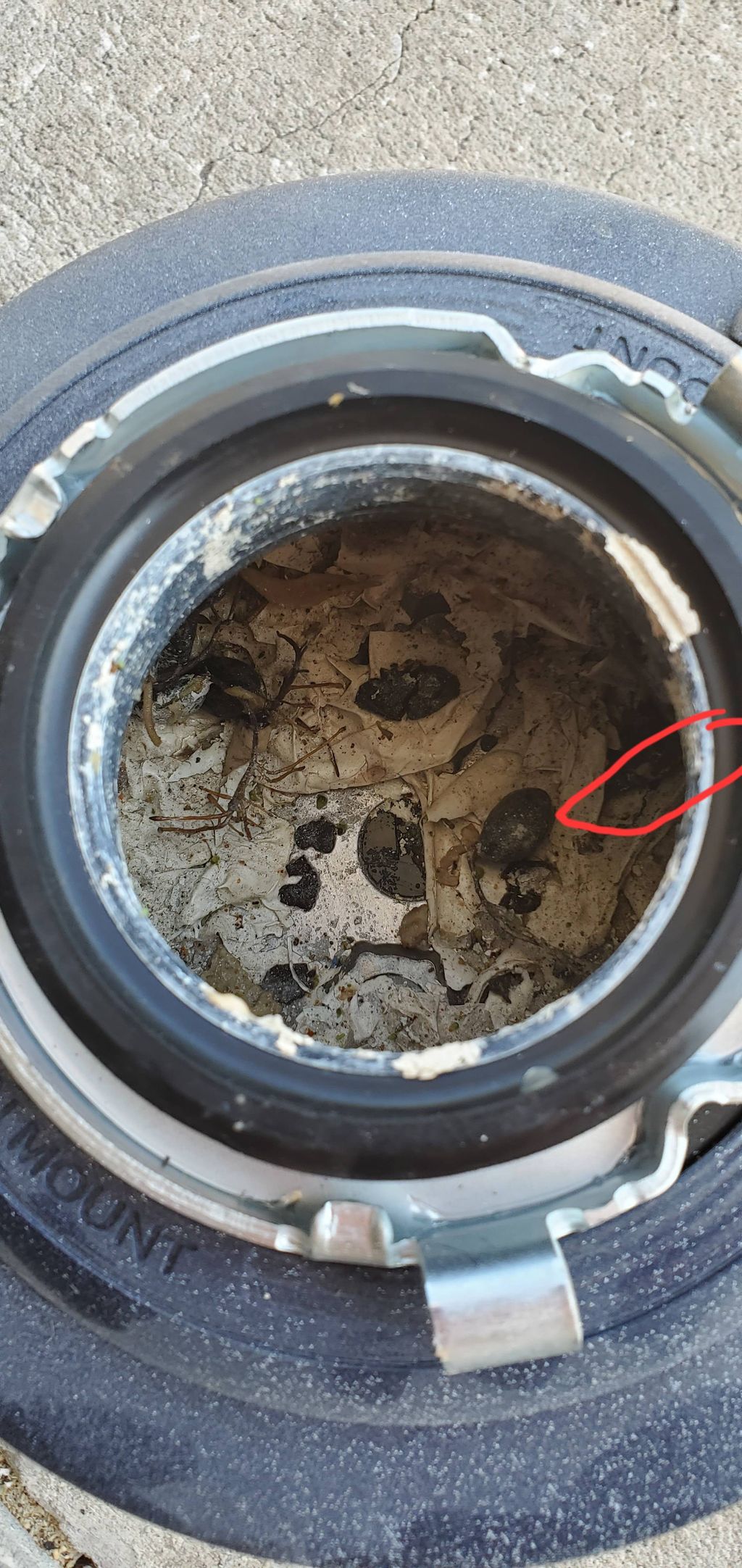 Took out a drill bit, which jammed the disposal ro