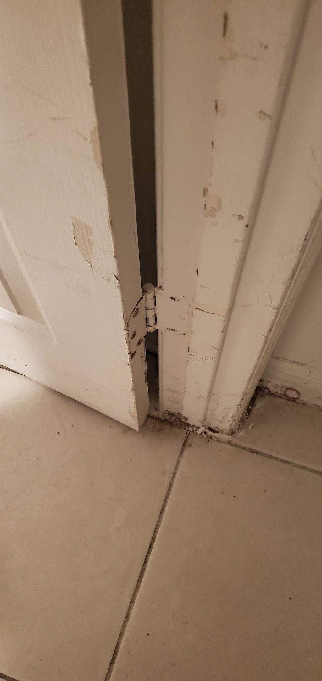 Rehung the door, which fell off its hinges 