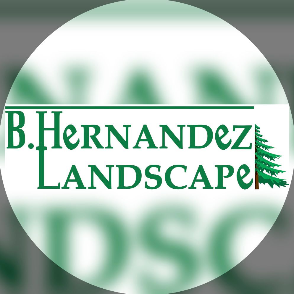 B.Hernandez Landscape