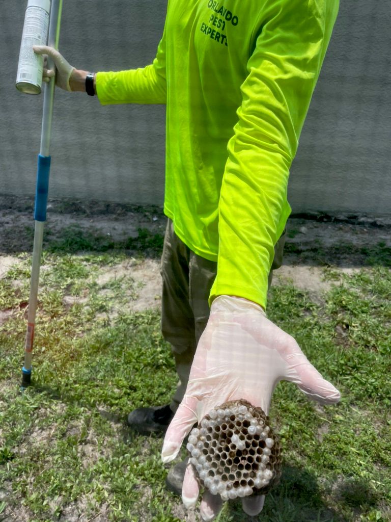 Orlando Pest Experts is hands down a life saver! T