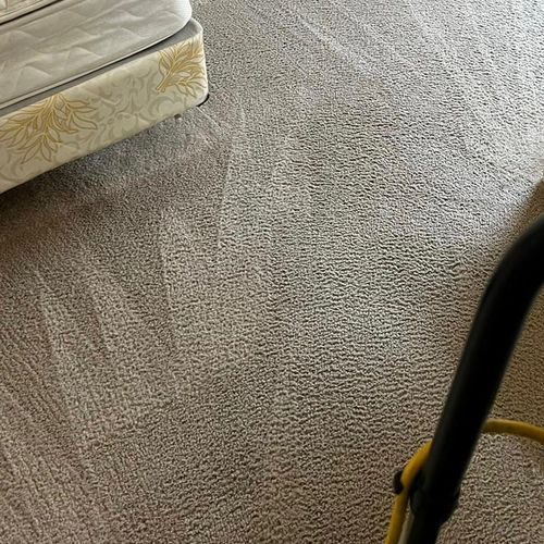 I had already done my carpet cleaning 3 times with