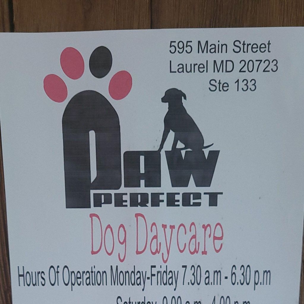 Paw Perfect
