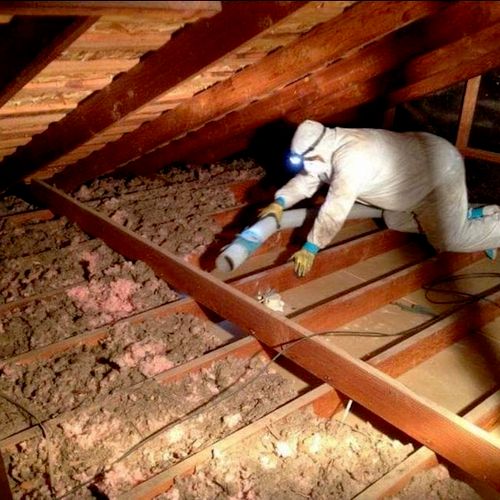 Insulation Removal 