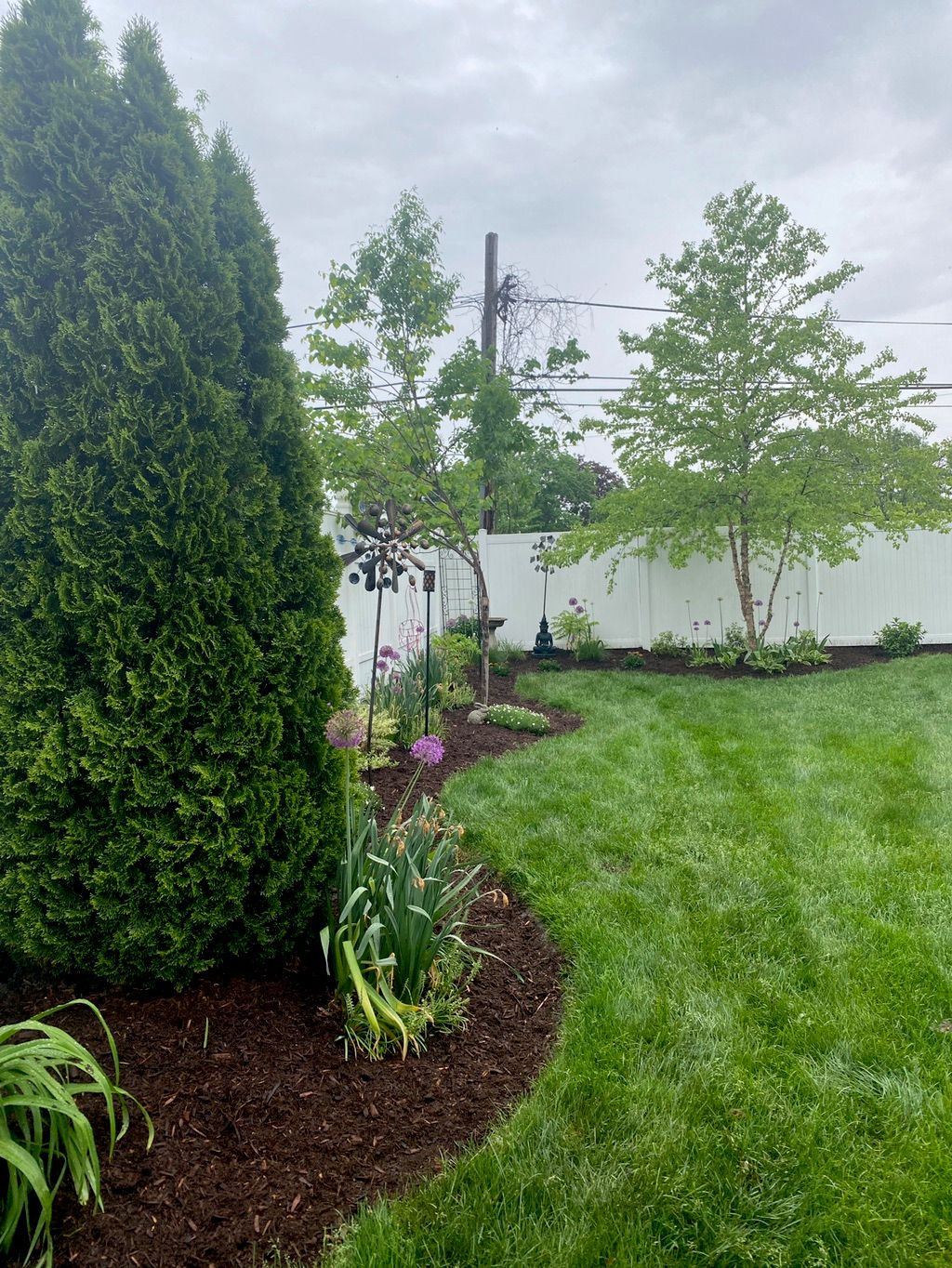 Customer photos