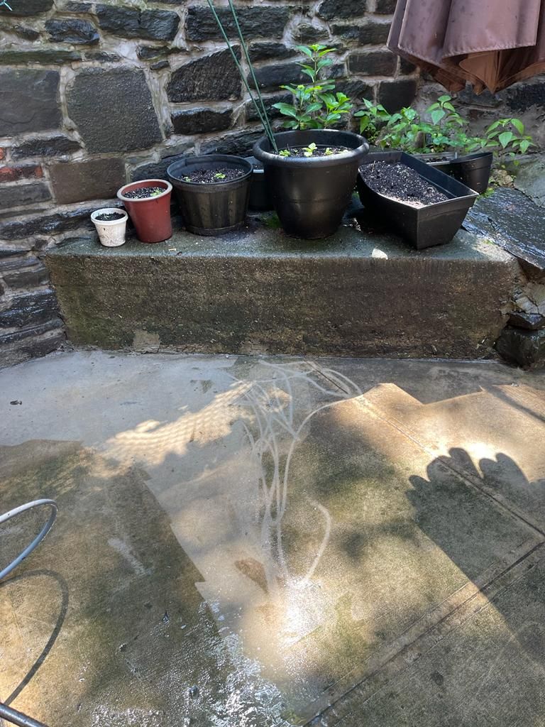 Before (Pressure Washing)