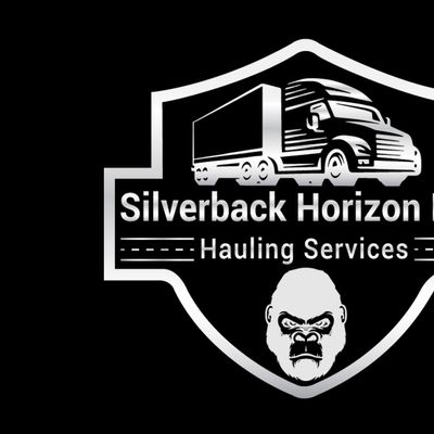 Avatar for Silver back Horizon LLC NY
