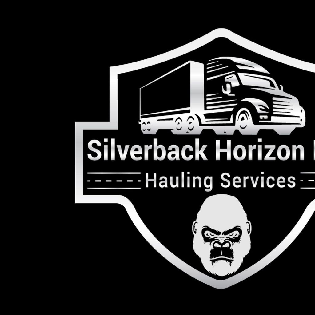 Silver back Horizon LLC