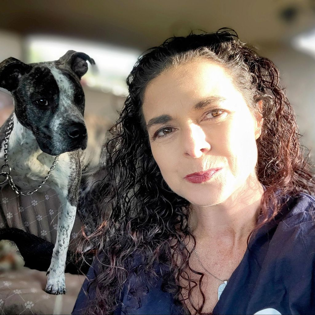 Wendy's pet taxi