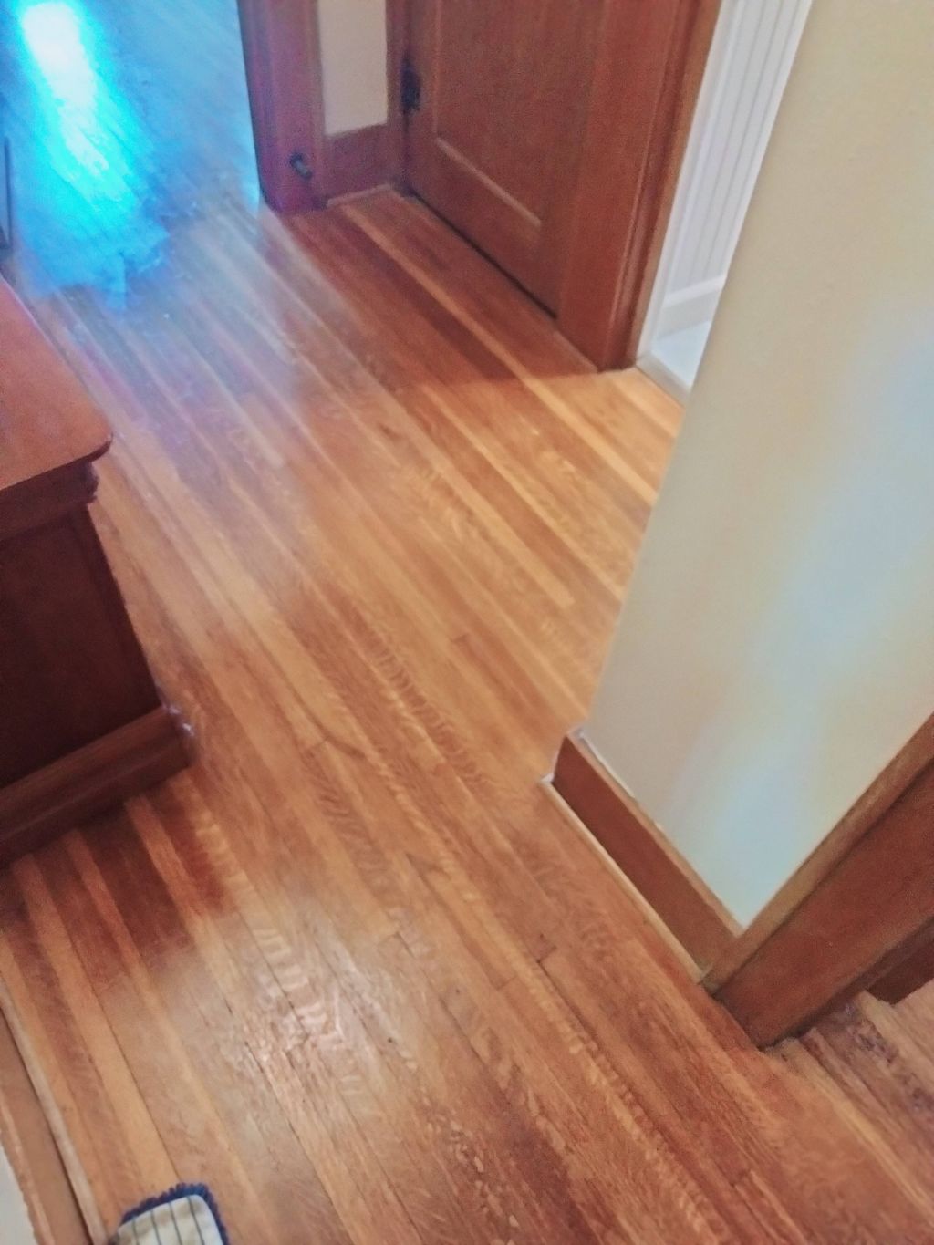 Original Wood Flooring cleaned and conditioned in 