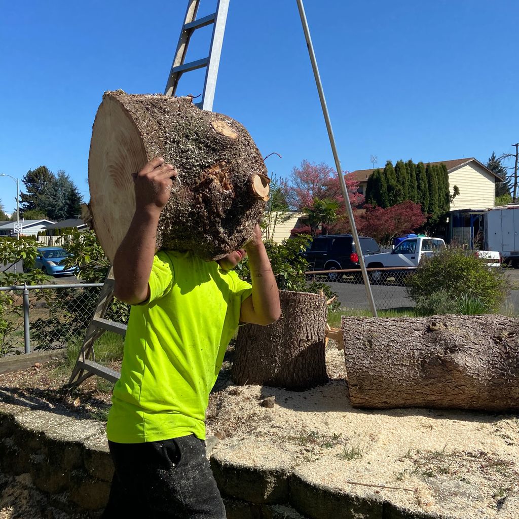 Prime Landscape & Tree Services LLC