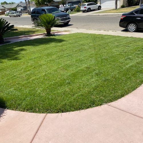 Pressure Pros did an amazing job on my lawn. Very 