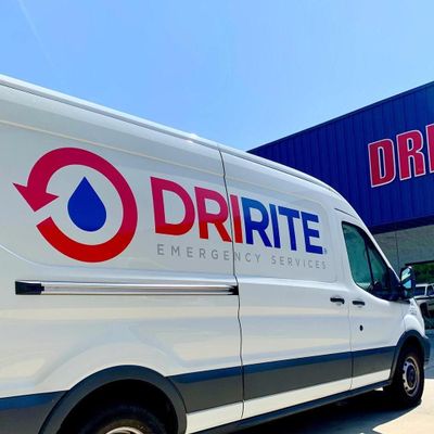 Avatar for Dririte