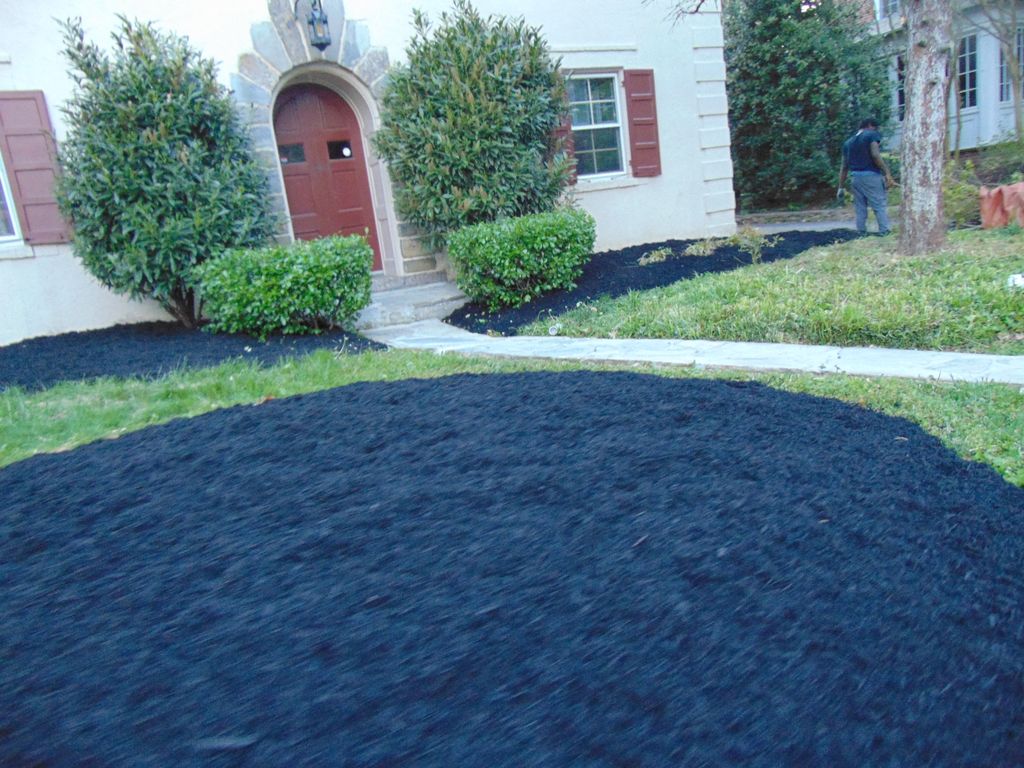 Mulching - After 
