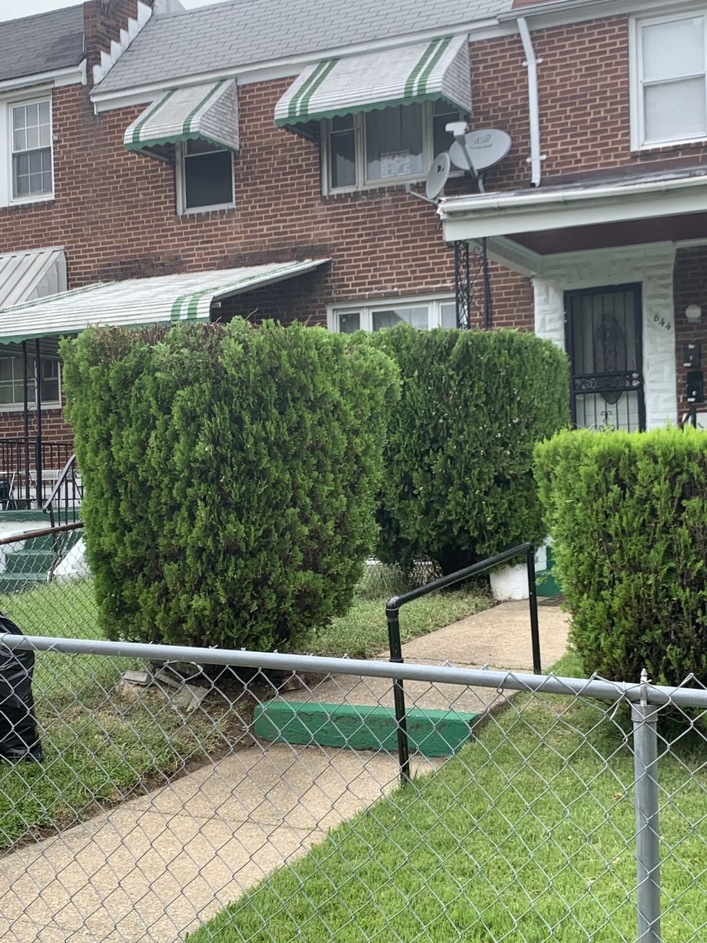 Hedge Trimming and Shaping - After