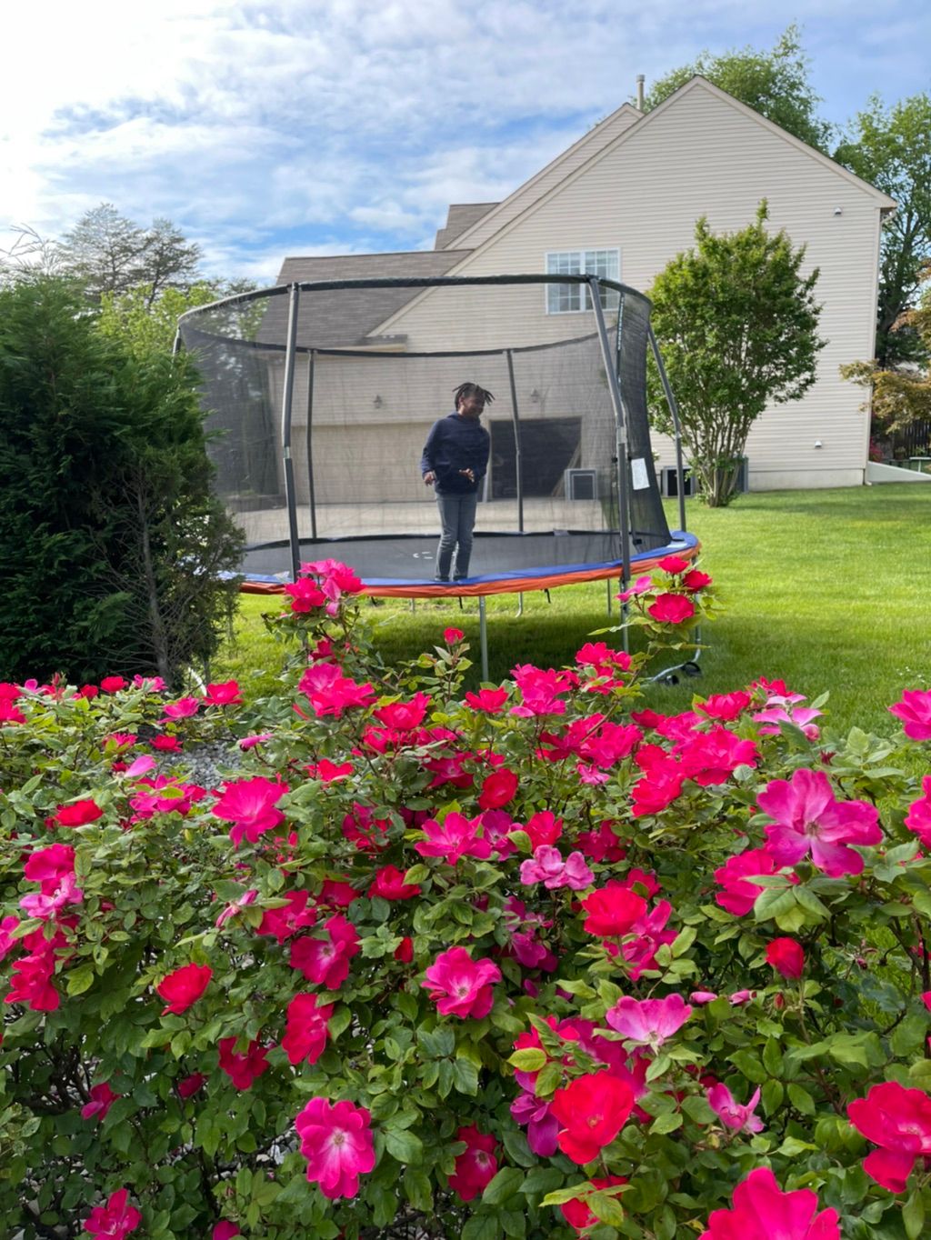 Customer photos