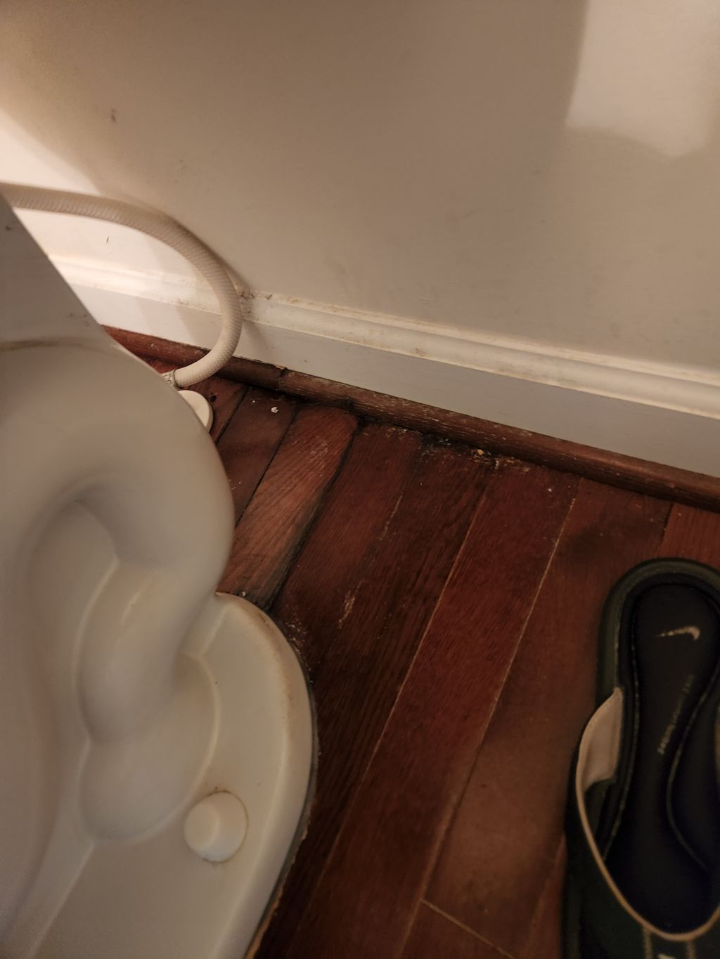 Toilet Installation or Replacement