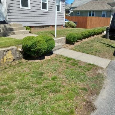 A.P. Landscaping