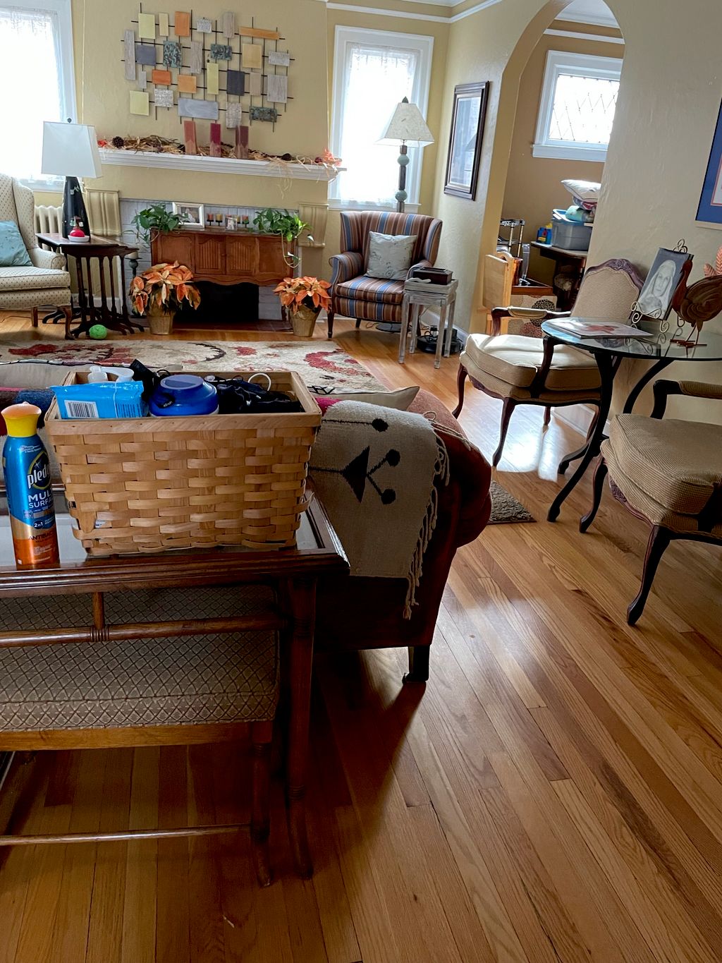 Standard living cleaning