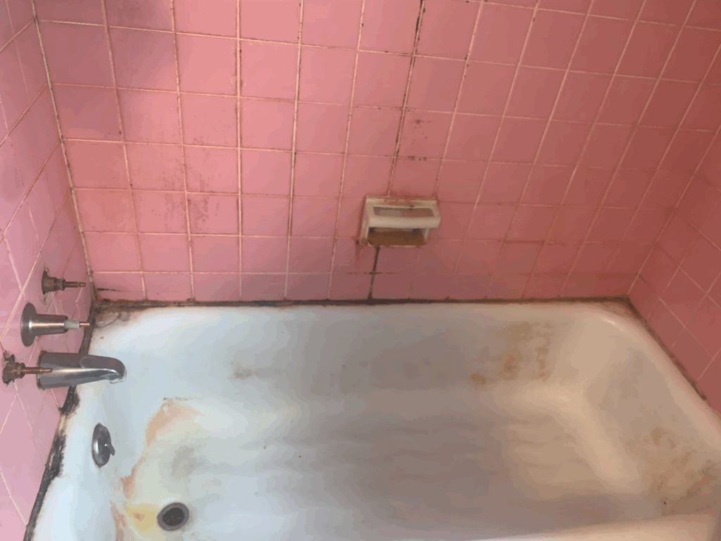 Deep cleaning before bathroom