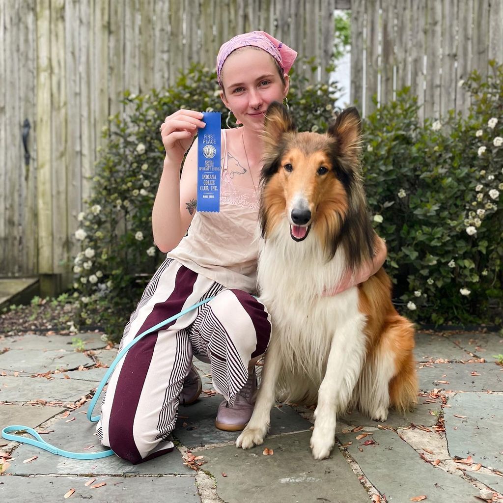 Rough Collie Training