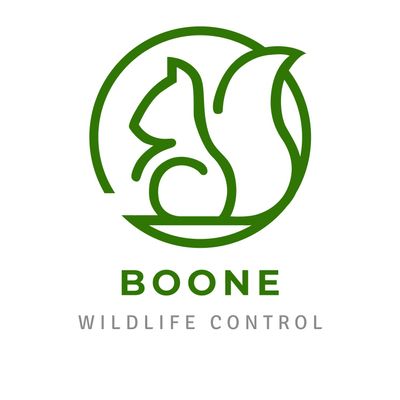 Avatar for Boone Wildlife Control