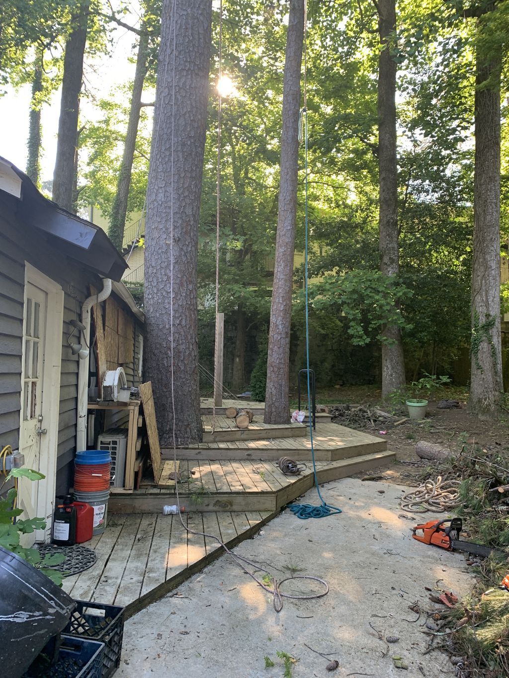 Tree Trimming and Removal