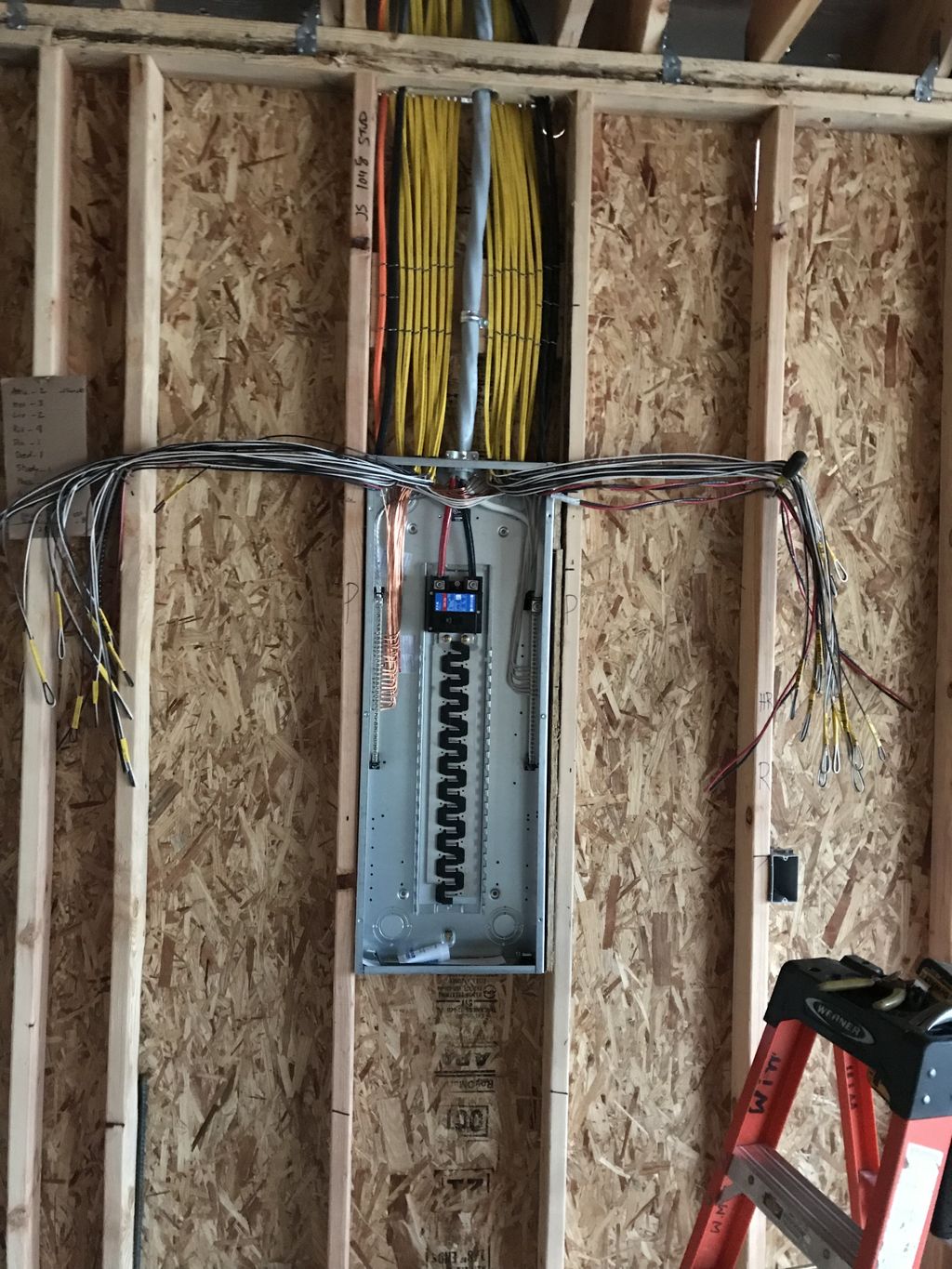 Projects and media