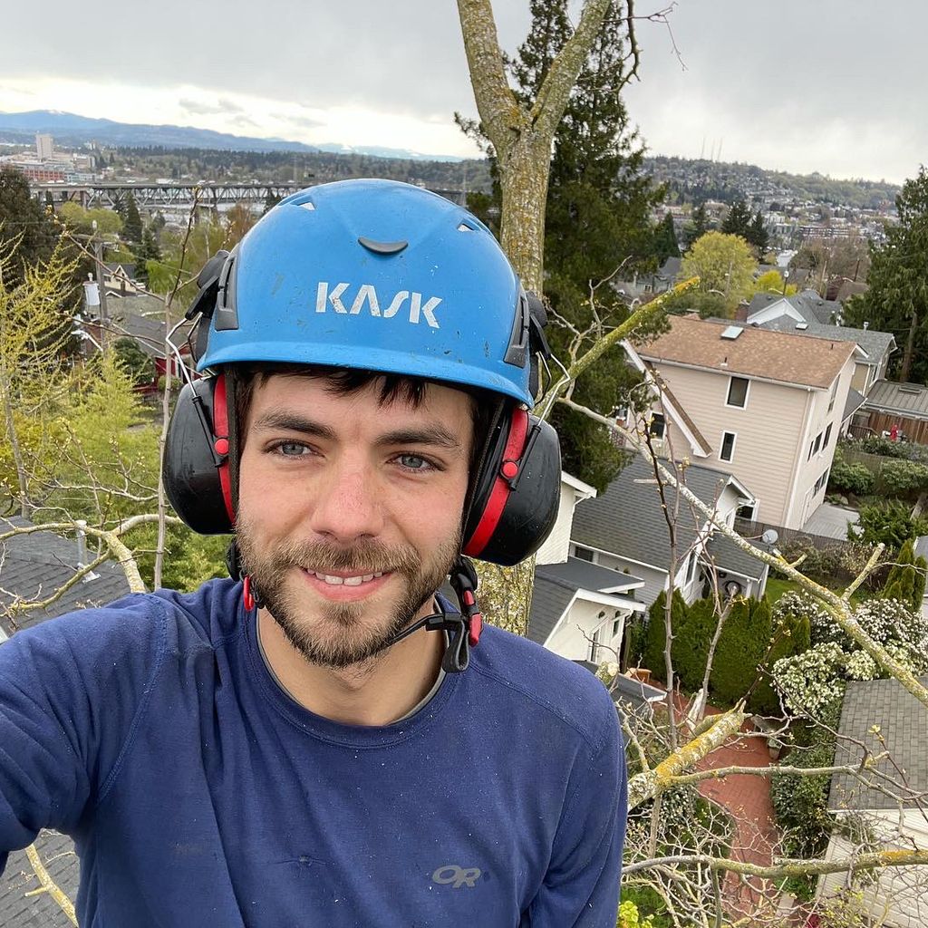 Sound Arboriculture