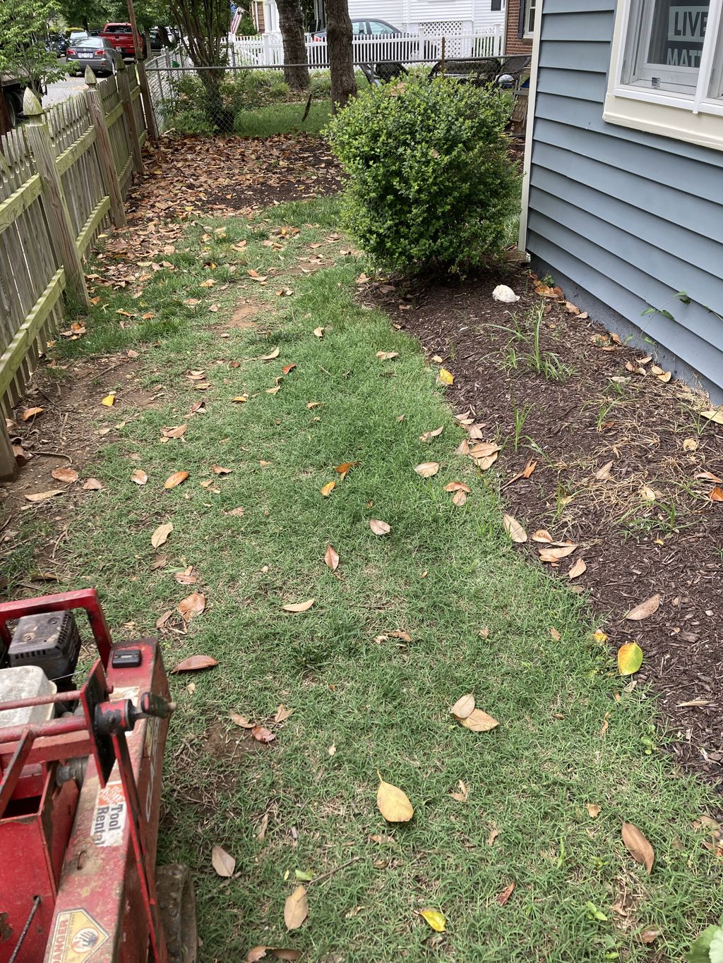 Sod Installation