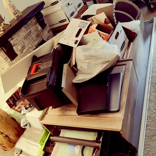 Great service, removed everything fast and profess