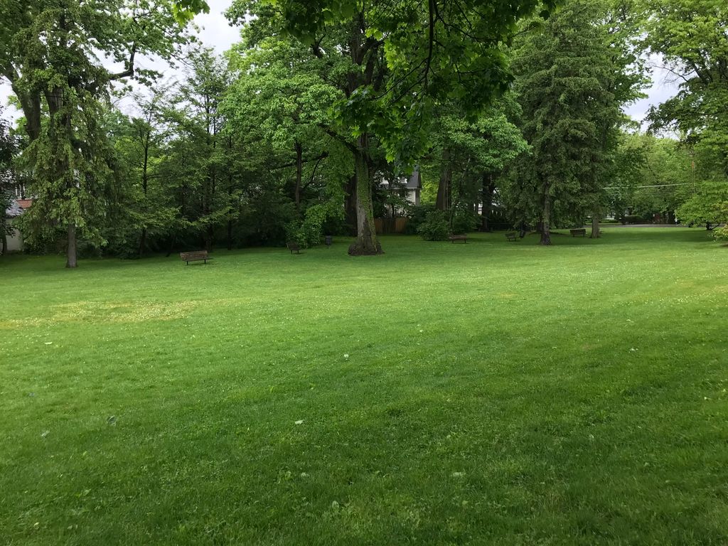 I walked through this beautiful park on my way to 