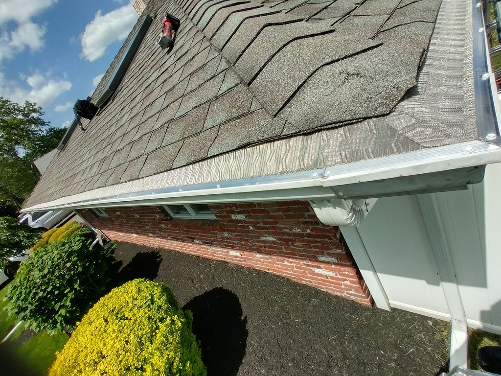 Gutter Cleaning and Maintenance