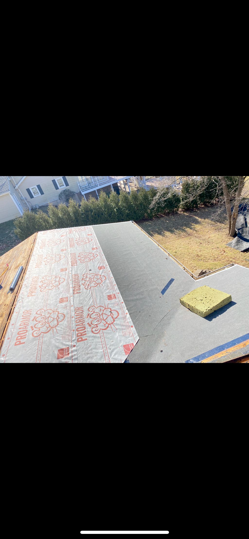 Projects and media