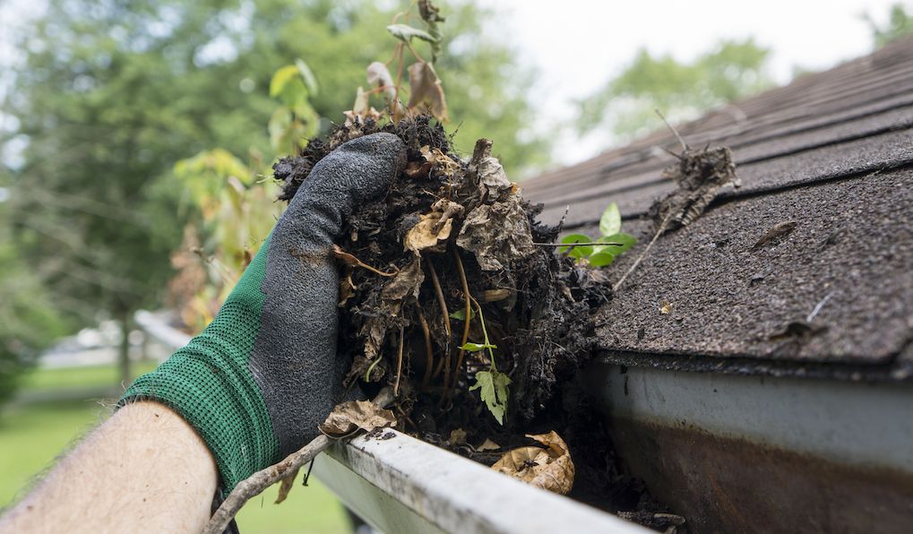 gutter cleaning